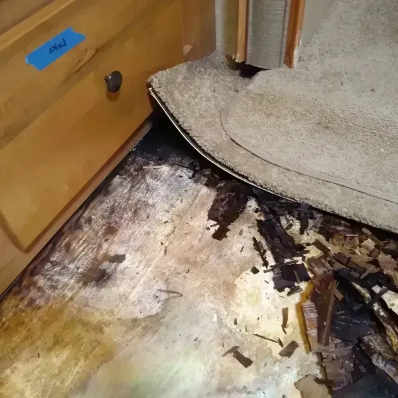 Wood Floor Water Damage in Newton, MS